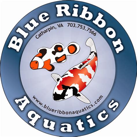 blue ribbon koi & marine